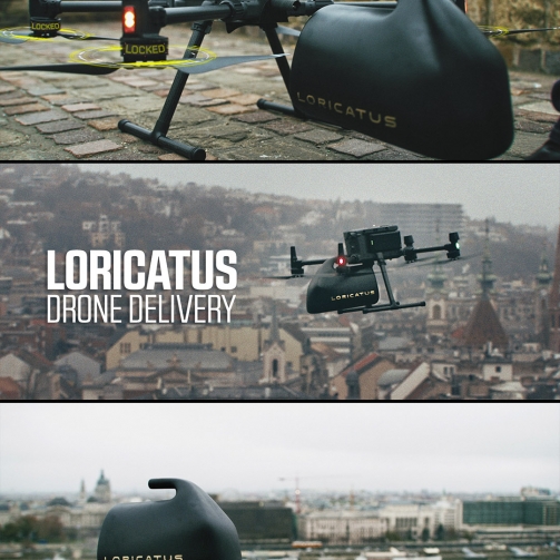 63d5c5096a124b75e05134f9_loricatus